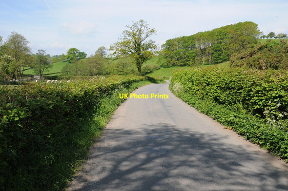 Photo 6"x4" Country road south of Llandovery Cilgwyn\/SN7429 c2014