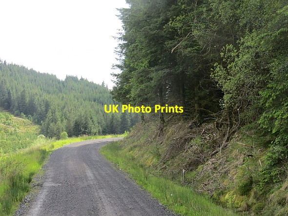 Photo 6"x4" Logging road, Coille Bhuidhe Inverinan c2014