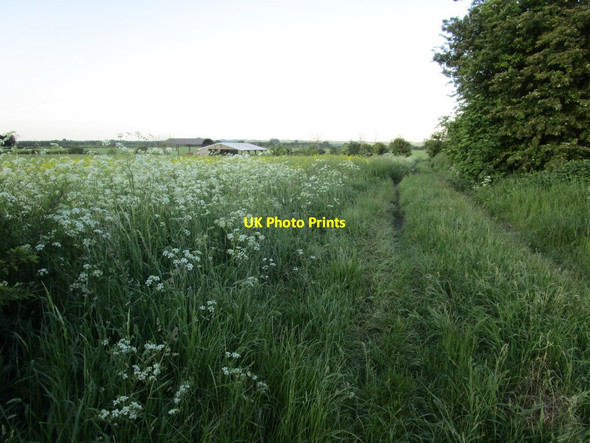 Photo 6"x4" Bridleway to Doddington Littlegate Stubton c2014