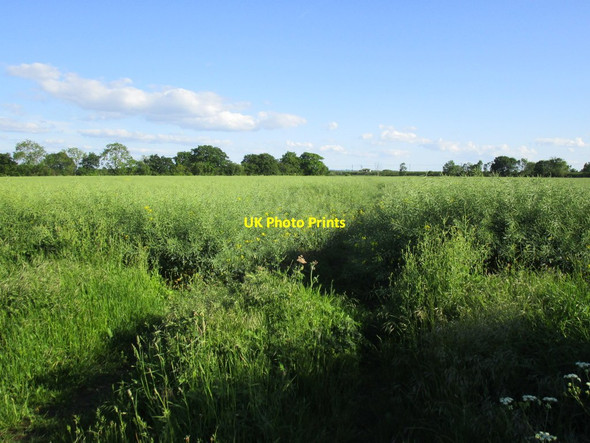 Photo 6"x4" Bridleway to Sand Lane (obstacle 1) Hougham c2014