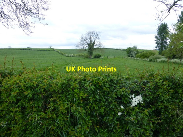 Photo 6"x4" Aghagallon Townland Omagh c2014