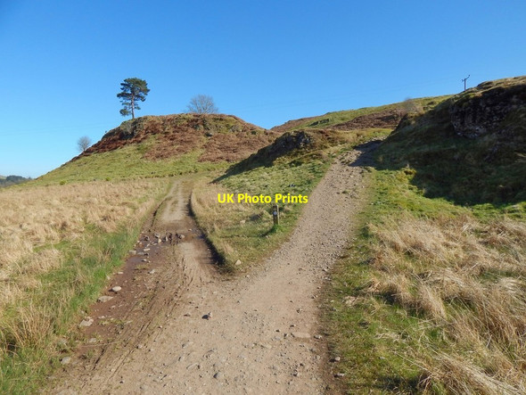 Photo 6"x4" West Highland Way near Arlehaven Blanefield\/NS5579 c2014