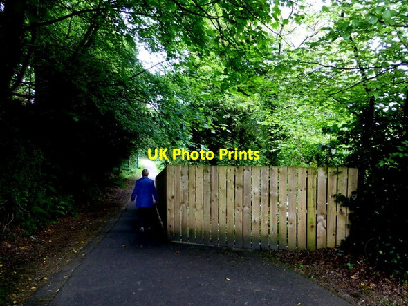 Photo 6"x4" Protective fence along the path near the Lovers Retreat Omagh c2014