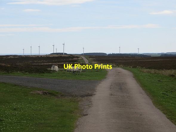 Photo 6"x4" Quarryhouse Moor Hepburn c2014