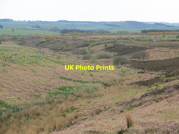 Photo 6"x4" Cragcleugh Burn Cateran Hill c2014