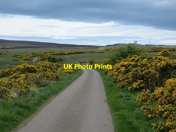 Photo 6"x4" Moorland road, Middle Moor North Charlton c2014