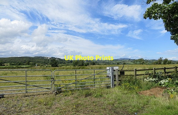 Photo 6"x4" Ellistrin Townland Coolboy c2013
