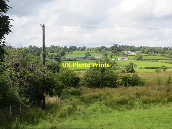 Photo 6"x4" Damp pasture, Woodtown Coolboy c2013