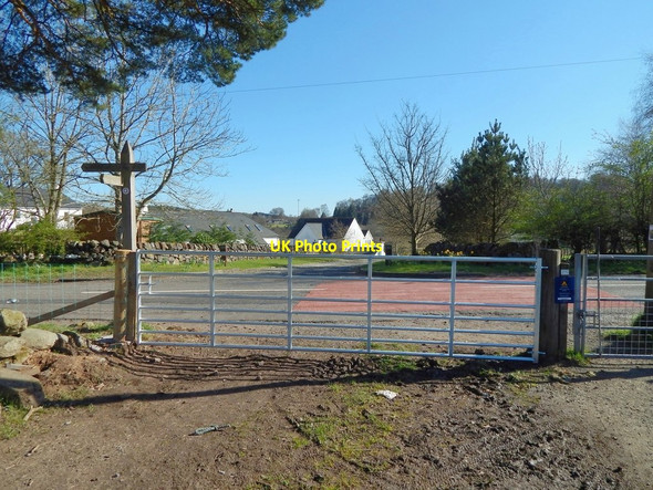 Photo 6"x4" West Highland Way at Easter Carbeth Blanefield\/NS5579 c2014