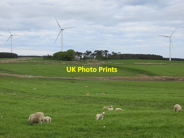Photo 6"x4" Middle Moor North Charlton c2014