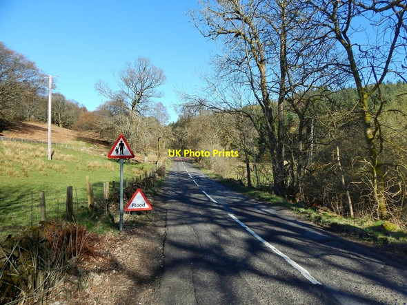 Photo 6"x4" West Highland Way at Easter Carbeth Blanefield\/NS5579 c2014