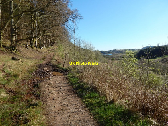 Photo 6"x4" Red Brae Road Blanefield\/NS5579 c2014