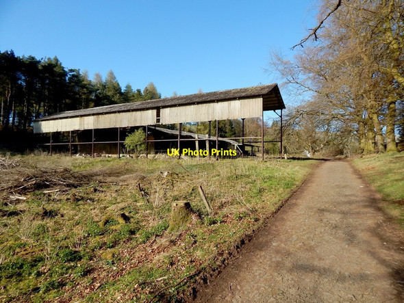 Photo 6"x4" Boards Farm Blanefield\/NS5579 c2014