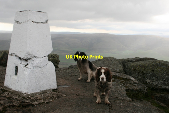 Photo 6"x4" On the summit of Ben Rinnes Scurran of Lochterlandoch c2014