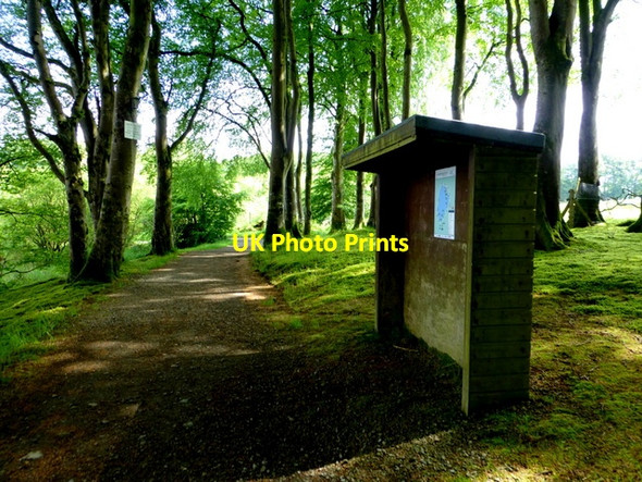 Photo 6"x4" Shelter, Loughmacrory Milltown\/H5775 c2014