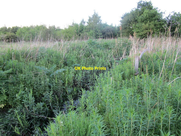 Photo 6"x4" Drain on Bessacarr Carr Bessacarr c2014