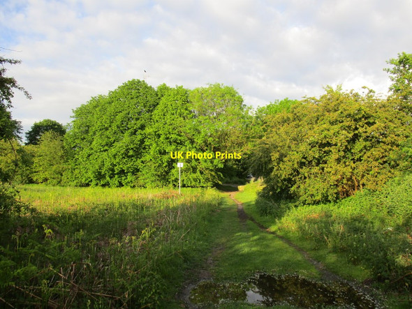 Photo 6"x4" Bessacarr Lane Bessacarr c2014