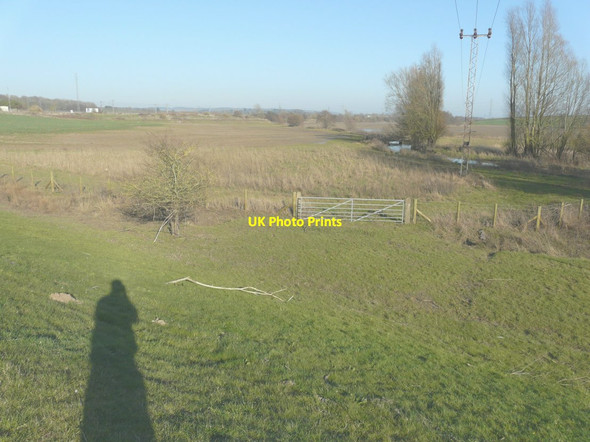 Photo 6"x4" East Stour River near lower Evegate lakes Stonestreet Green c2014