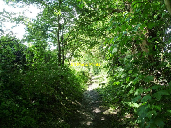 Photo 6"x4" Russell Mill & Strawberry Hill Walk [12] Fiddington Sands c2014