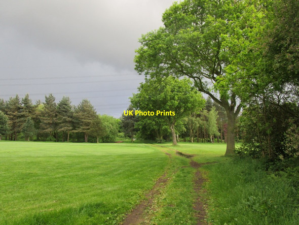 Photo 6"x4" And then the heavens opened Littleworth\/SK6298 c2014