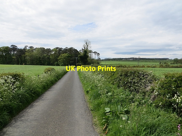Photo 6"x4" Road to Broxfield Broxfield c2014