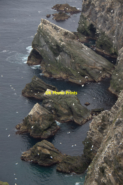 Photo 6"x4" Stacks below the Neap, Hermaness Burrafirth c2014