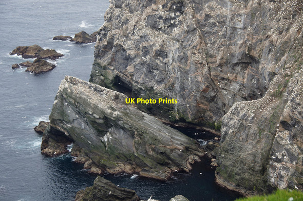 Photo 6"x4" Neapna Stack from Saito, Hermaness Burrafirth c2014