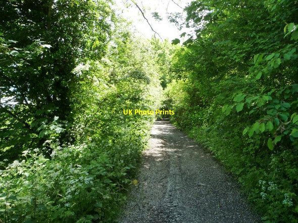 Photo 6"x4" Russell Mill & Strawberry Hill Walk [36] Little Cheverell c2014