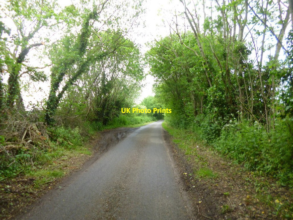 Photo 6"x4" Charlton All Saints, Warrens Lane Charlton All Saints c2014
