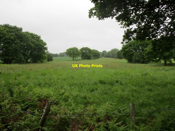 Photo 6"x4" Hay field near Oulton Rothwell\/SE3428 c2014