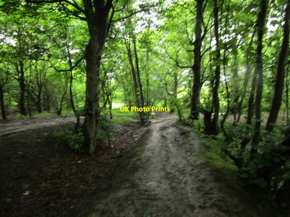 Photo 6"x4" Very slippery path Rothwell\/SE3428 c2014