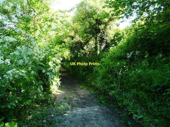 Photo 6"x4" Rocky step in the byway to Easterton Common Eastcott\/SU0255 c2014