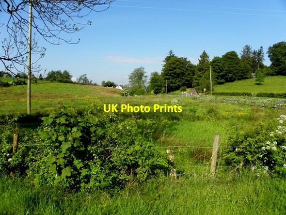 Photo 6"x4" Glebe Townland Drumquin c2014