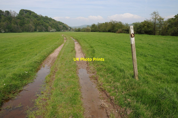 Photo 6"x4" Path beside Afon Twyi Ffairfach c2014