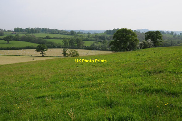 Photo 6"x4" Farmland near Pen-y-Banc Llandeilo c2014