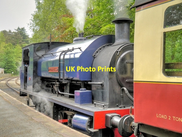 Photo 6"x4" Princess at Lakeside Station Lakeside\/SD3787 c2014