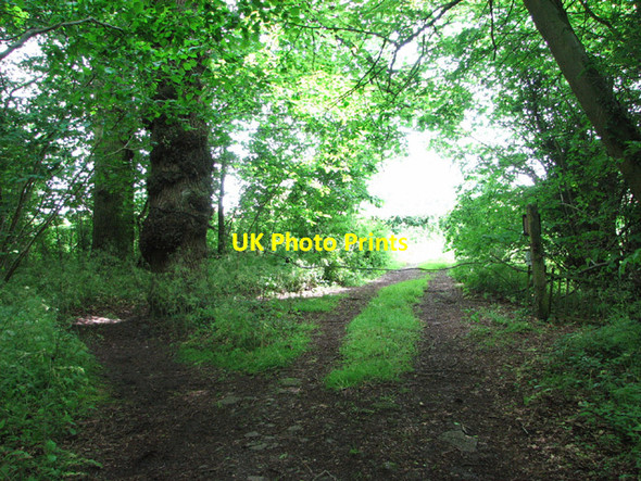 Photo 6"x4" Path from Potash Lane to All Saints church in Hethel Hethel c2014