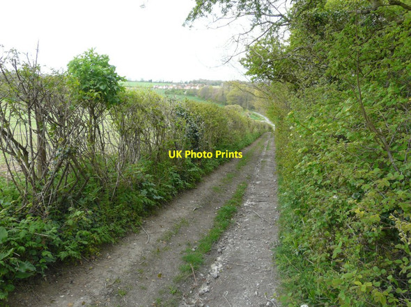Photo 6"x4" A descent of The North Downs Way Woolage Green c2014