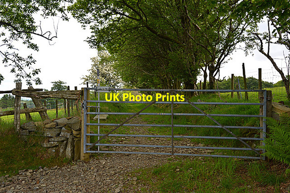 Photo 6"x4" Footpath heading towards the Nant Cou Tregaron c2014