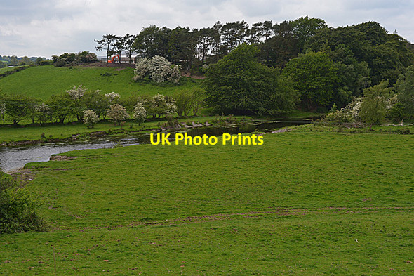 Photo 6"x4" The Afon Teifi south of Tregaron Tregaron c2014