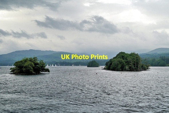 Photo 6"x4" Tree Covered Islands on Windermere Bowness-On-Windermere c2014