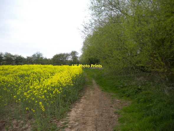 Photo 6"x4" Bridleway alongside Halloughton Dumble Southwell\/SK7053 c2014