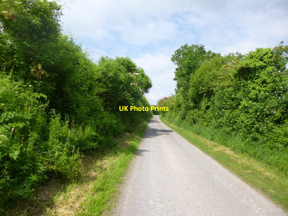 Photo 6"x4" Wick Lane Wick\/SU1621 c2014