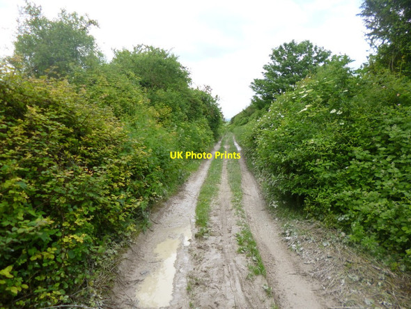 Photo 6"x4" Wick, byway Wick\/SU1621 c2014