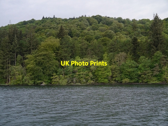 Photo 6"x4" Windermere Shore, Fleming Wood Bowness-On-Windermere c2014