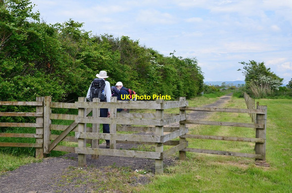 Photo 6"x4" Start of the Tramway Trail, Ettrick Bay St Colmac c2014