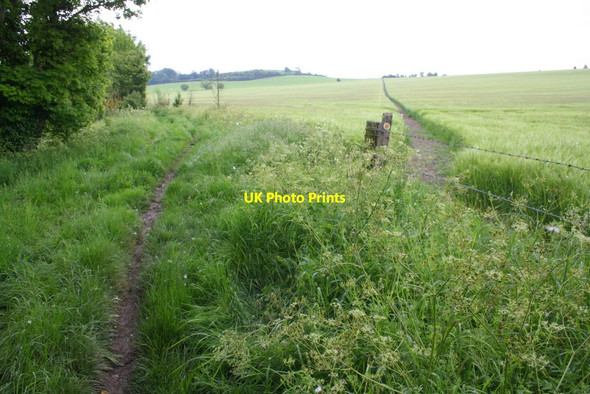 Photo 6"x4" Junction of footpaths Aston Tirrold c2014