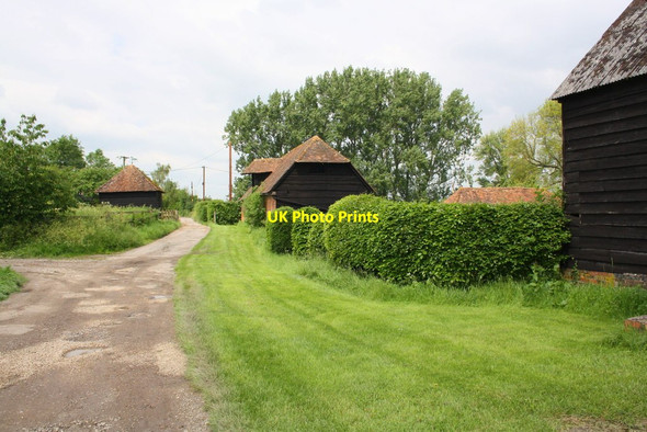 Photo 6"x4" The track to Aston Tirrold at Lollingdon Farm Cholsey c2014