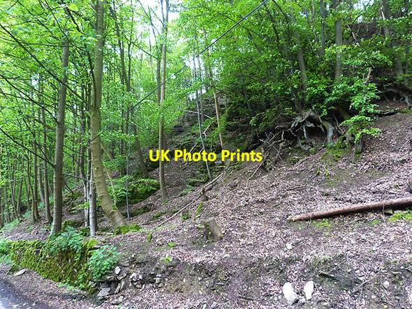 Photo 6"x4" Hillside above Marske Clints\/NZ1000 c2014