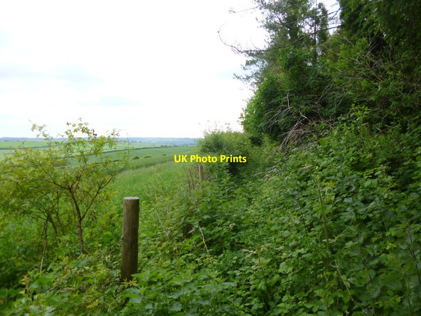 Photo 6"x4" Breamore, North Charford Drove Breamore c2014